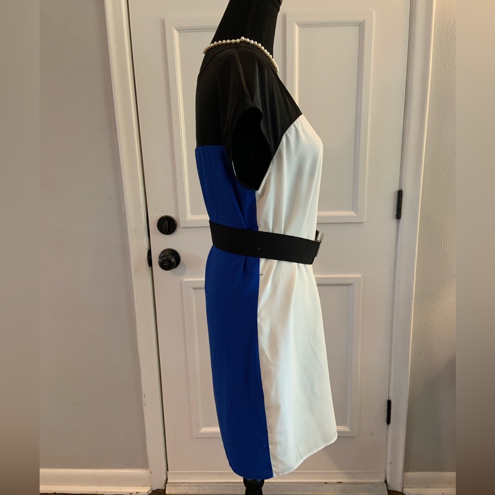 Express Cocktail Shift Dress - Picture 2 of 6